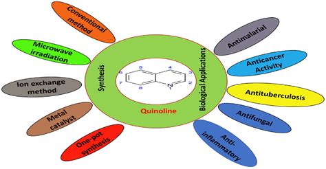 A Review on Synthesis and Biological Applications of Quinoline ...