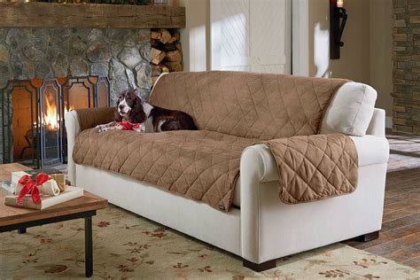 15 Best Cat Proof Sofas