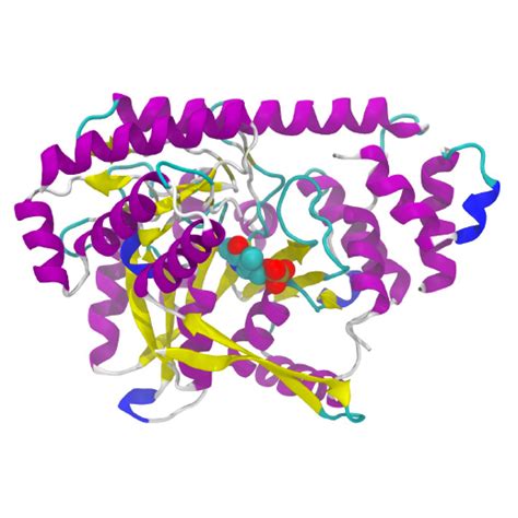 Transferases - Enzymes - Premade Proteins - Products