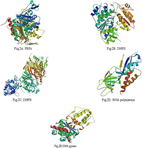 The three-dimensional (3D) structures of 5 enzymes (receptors ...