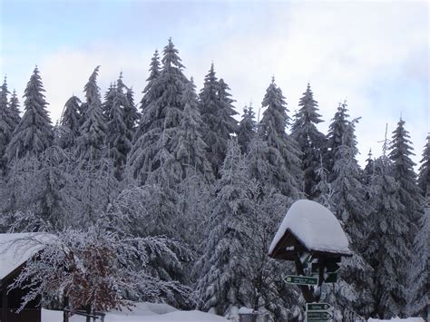 Dosiero:Thüringer Wald im Winter.jpg - Vikipedio