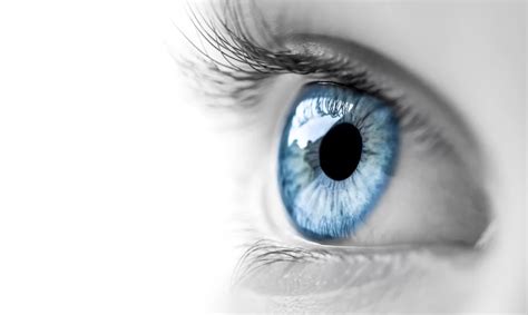 Read Insights about 7 Interesting Facts About Blue Eyes from Auckland Eye