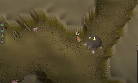 Giant mole guide osrs