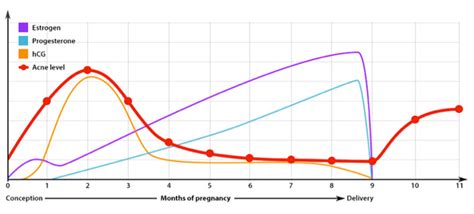 Hormones During Pregnancy - What to Expect | Girls Gone Strong