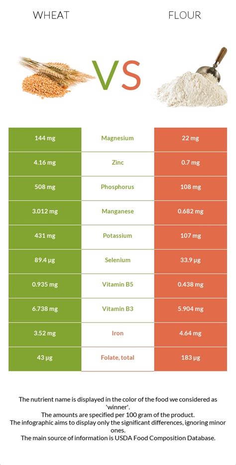 Wheat vs Flour - In-Depth Nutrition Comparison