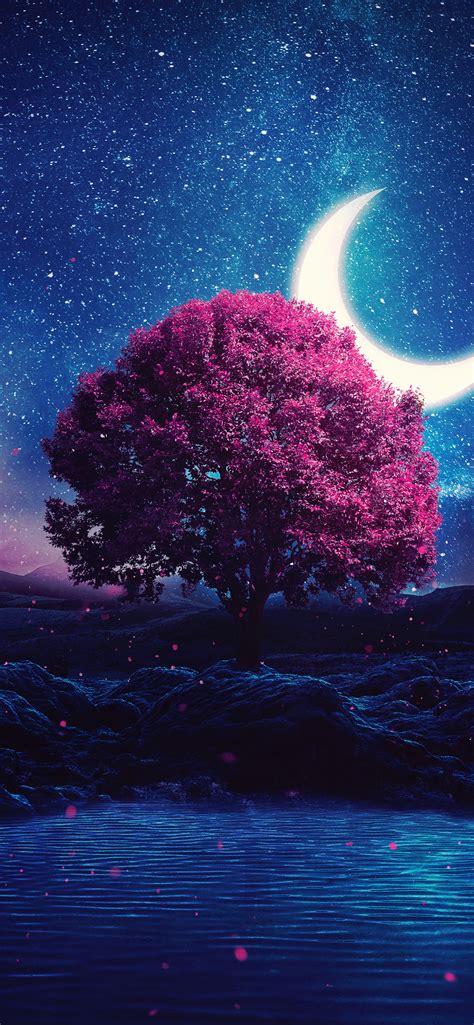 Get Mesmerized by the Background Tree Moon for Your Aesthetic Projects