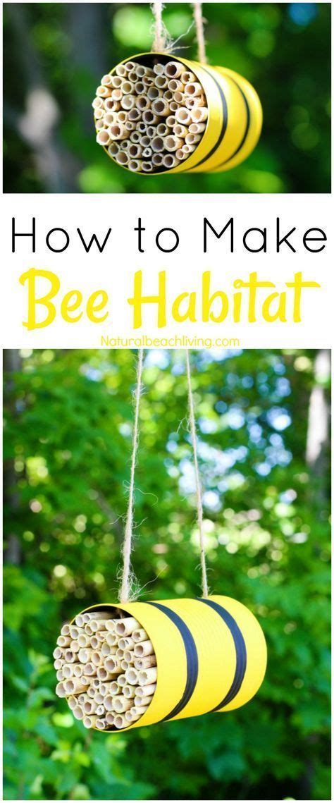 How to make a mason bee habitat perfect life cycle of a bee activities ...