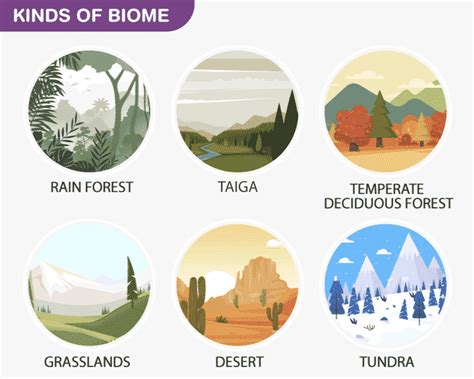 Biome Examples