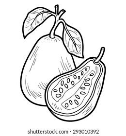 Guava outline : photos de stock et illustrations (1 706 images ...