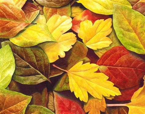 How I Painted The Autumn Leaves Watercolor Painting – Kat Skinner