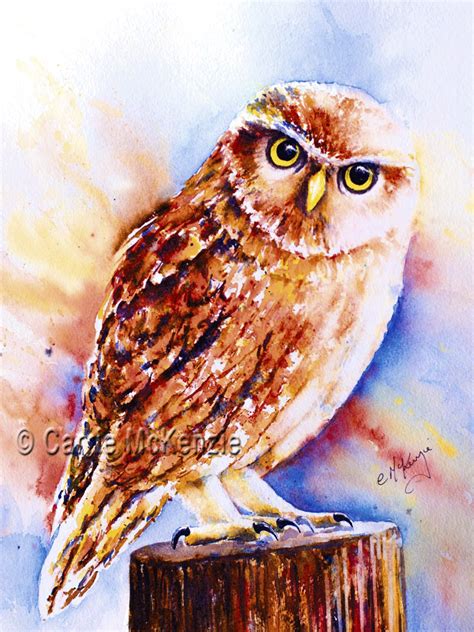 LITTLE OWL PAINTING Carrie McKenzie Artist Halifax Yorkshire