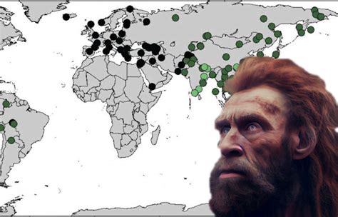 World Map Of Neanderthal And Denisovan DNA In Modern Humans - Ancient ...