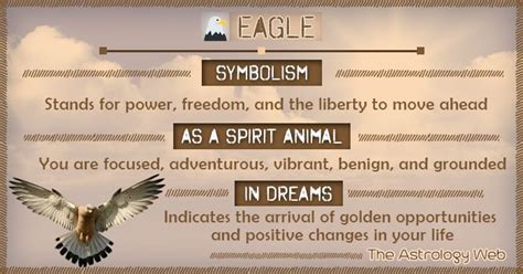 Eagle Symbolism Spirit Animal Dream | Spirit animal, Spirit animal art ...