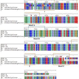 -Sequence alignment of the amino acids translated from the 0.9 kb DNA ...