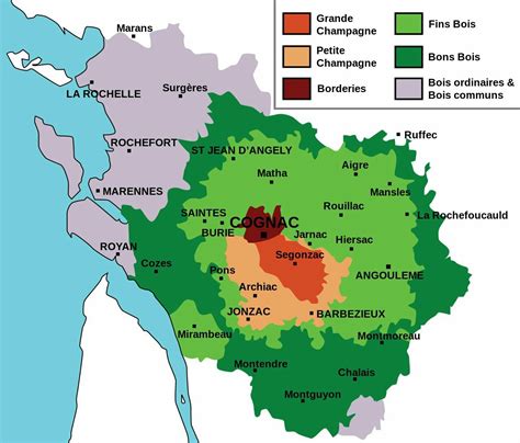 Cognac region | Cognac, Cognac france, Wine vine