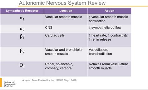 Alpha Beta Adrenergic Receptors Chart
