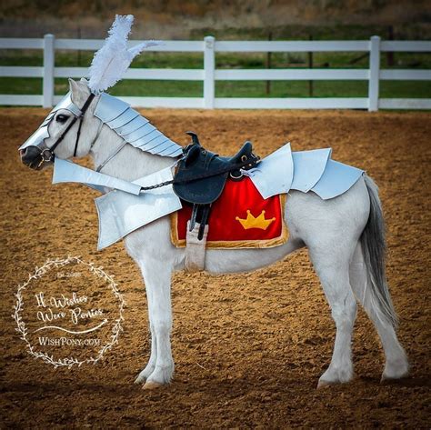 Medieval Horse Armour Costume for Horses & Ponies by WishPony