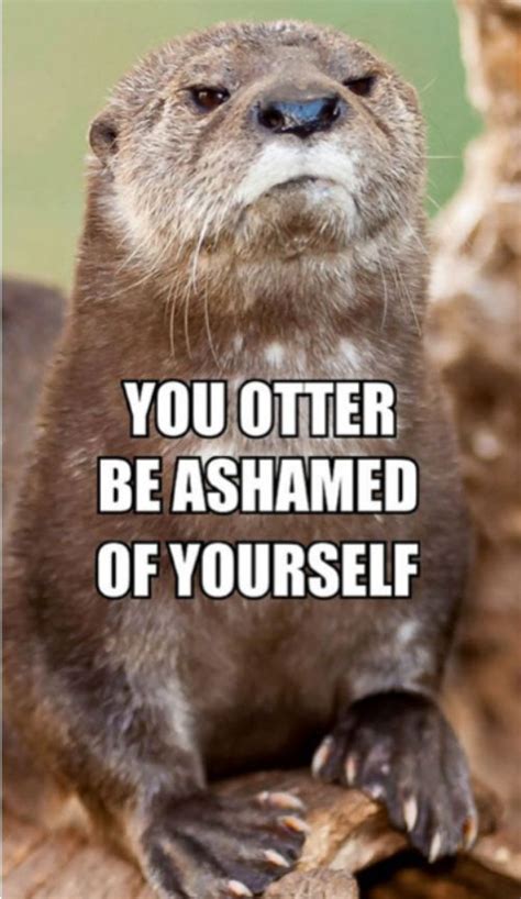 Otter Puns – Punpedia