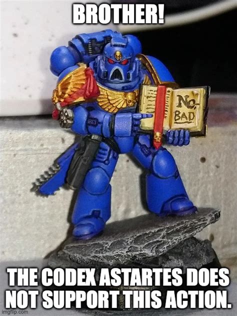 BROTHER! THE CODEX ASTARTES DOES NOT SUPPORT THIS ACTION! - Imgflip