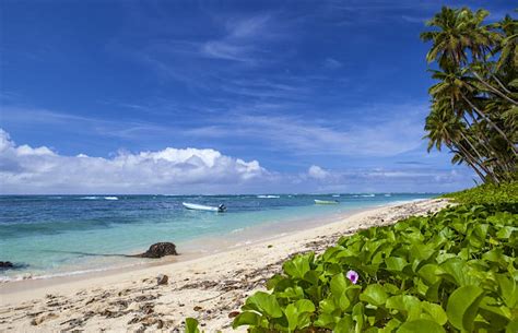 7 breathtaking beaches in Fiji - Lonely Planet