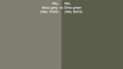 RAL Moss grey vs Olive green side by side comparison