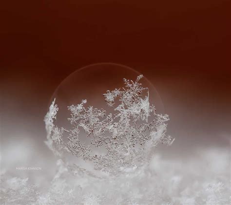 3 Simple Tips For Snowflake Macro Photography