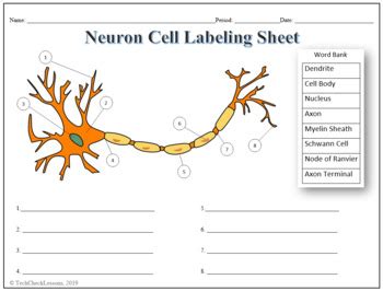 34 Label The Parts Of A Computer Worksheet Labels 2021 - Riset