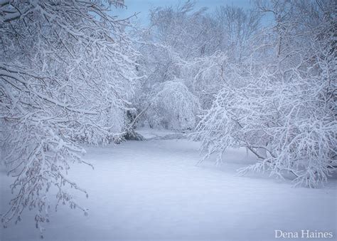 12 Snow Photography Tips (How to Capture Magical Snow Shots)