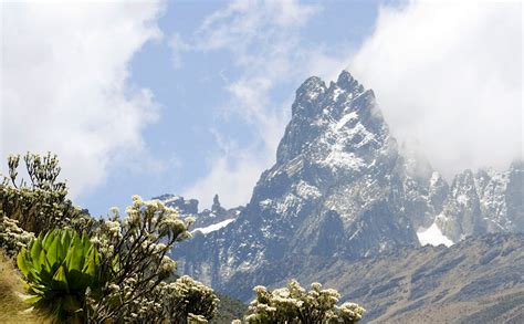 Mt Kenya National Park travel | Kenya, Africa - Lonely Planet