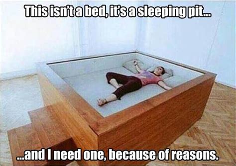 Funny Pictures Of The Day - 37 Pics | Bed, Funny pictures, Funny memes