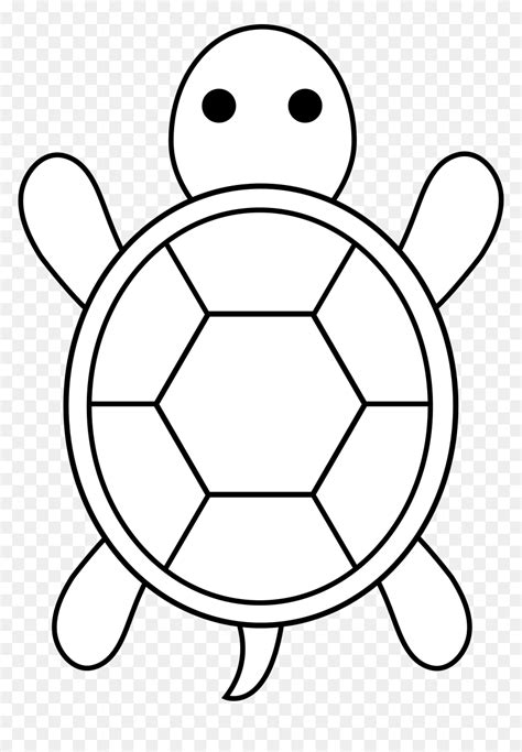 Draw A Green Sea Turtle Easy, HD Png Download - vhv