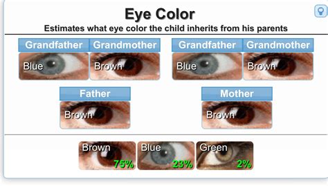 analyzing eye color genetics chart and what you need to know - genetic ...