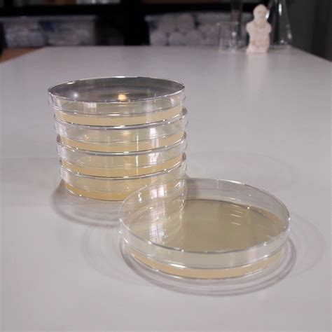 Nutrient Agar In Petri Dishes | Biology Supplies - Darwin Biological