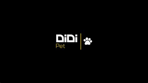 DiDi Logo design 2020 En/Fa :: Behance