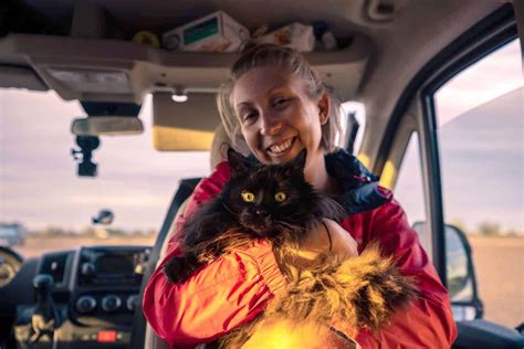 Van Life with a Cat: How a Campervan Breathed New Life into my Old Cat