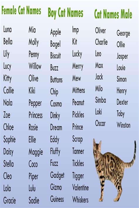 Cat Names Boy Unique - Cats Family