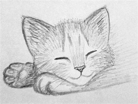 Cute Cat Pencil Sketch in Digital Print Coloring (Download Now) - Etsy ...