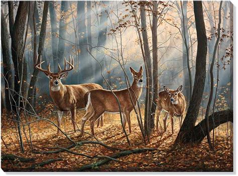 64 best Art: The Whitetail images on Pinterest | Deer, Animal paintings ...