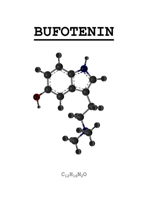 'Bufotenin' Poster, picture, metal print, paint by ChemECool | Displate