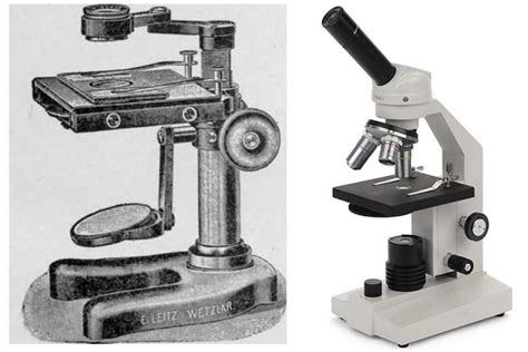 Differences between Simple and Compound Microscope