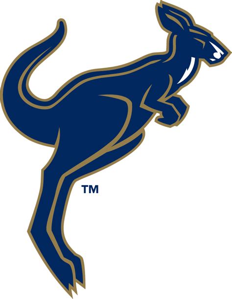 Akron Zips Secondary Logo - NCAA Division I (a-c) (NCAA a-c) - Chris ...