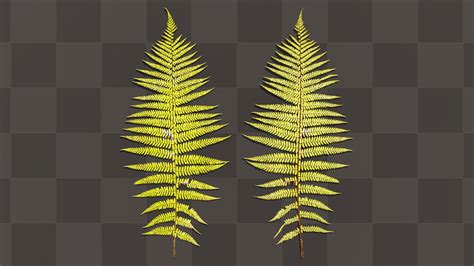 Fern Leaves - download free texture atlases and decals, Substance PBR ...