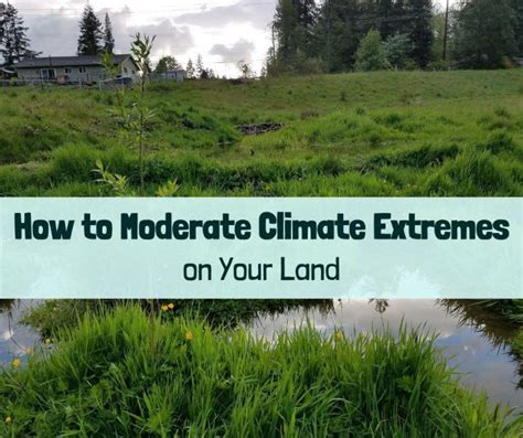 How to Moderate Climate Extremes on Your Land - Growing with Nature