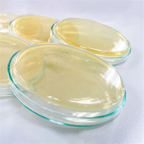 Nutrient agar plates - Southern Biological