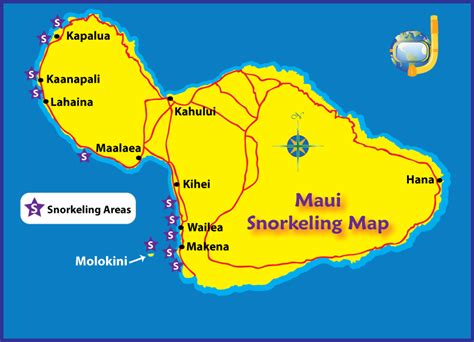 Recommended Maui Snorkeling Spots By Experienced Snorkelers