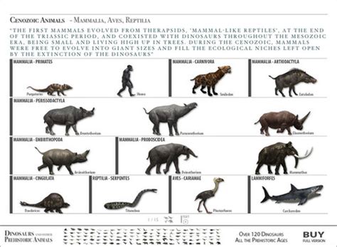 Cenozoic Era - Earth Catastrophes