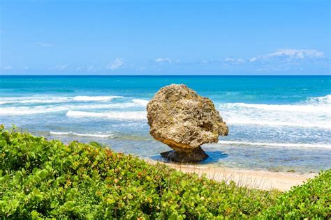 Beach at Bathsheba, Barbados Stock Photo - Image of deserted, isolated ...