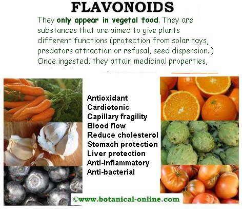 Flavonoids properties – Botanical online