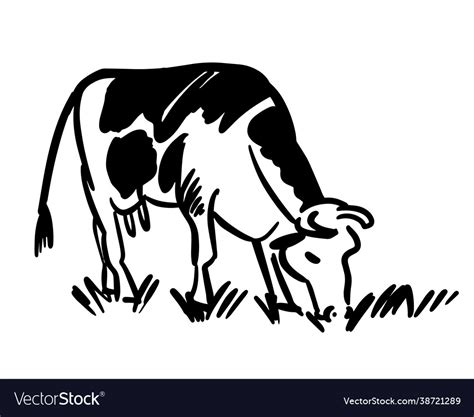 Hand drawing cattle cow eating grass Royalty Free Vector