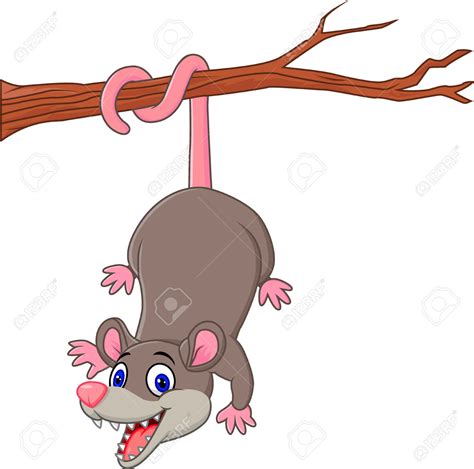 Possum Clipart | Free download on ClipArtMag